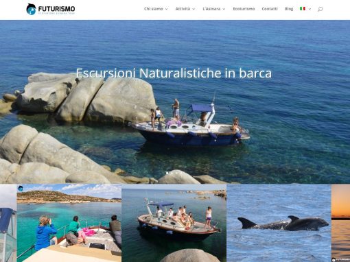Sito web Futurismoasinara.com