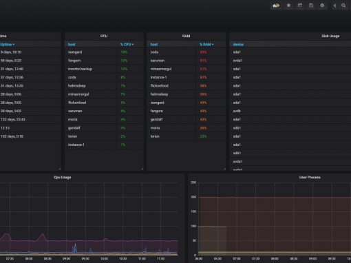 Monitoraggio Qualità e Performance dei servizi